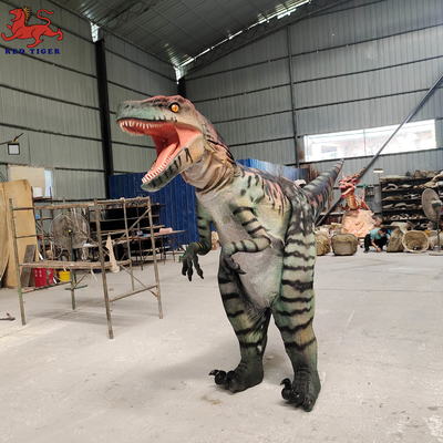لباس دایناسور واقعی Velociraptor اندازه واقعی برای نمایش صحنه