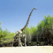 ماکت اسکلت دایناسور واقعی / ماکت دنیای ژوراسیک برای فضای داخلی