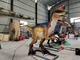 پارک موضوعی بزرگسالان ربات دایناسور واقعی Animatronic Velociraptor