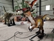 پارک موضوعی بزرگسالان ربات دایناسور واقعی Animatronic Velociraptor