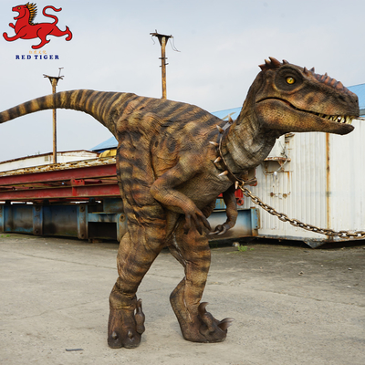 خرید لباس Animatronic Velociraptor , لباس دایناسور مصنوعی بزرگسالان online manufacture