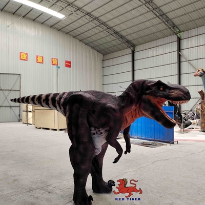 خرید لباس سفارشی واقعی واقعی T Rex، کت و شلوار Tyrannosaurus داخلی online manufacture