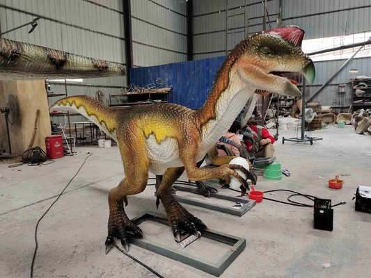 خرید پارک موضوعی بزرگسالان ربات دایناسور واقعی Animatronic Velociraptor online manufacture
