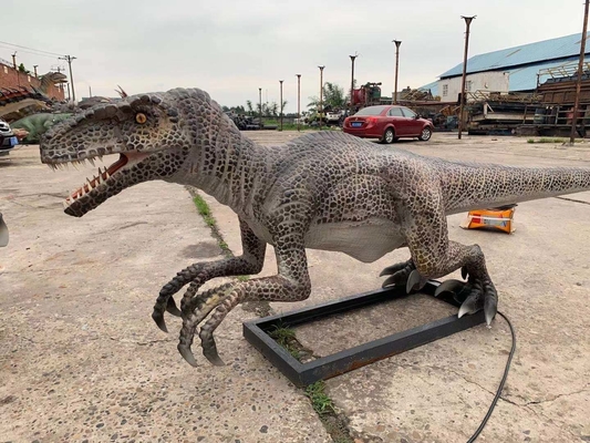 دایناسور پارک موضوعی مدل Velociraptor دایناسور Animatronic واقعی اندازه واقعی
