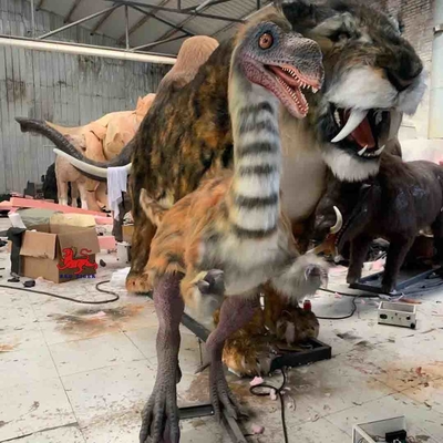 نام