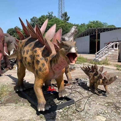 نام