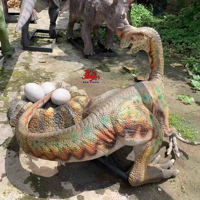 نام