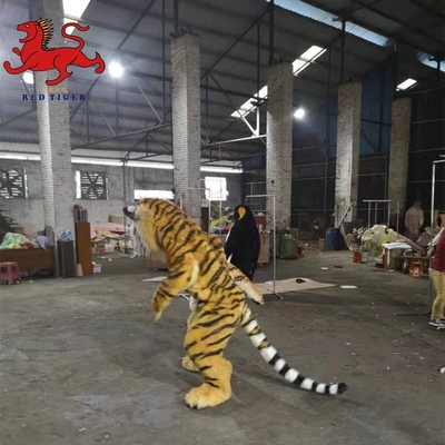 نام