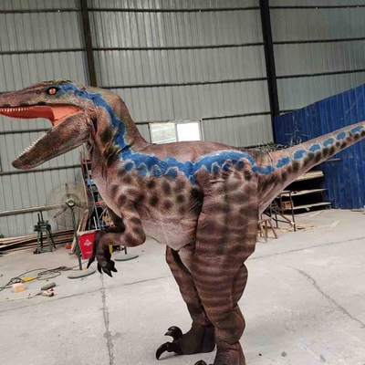 نام