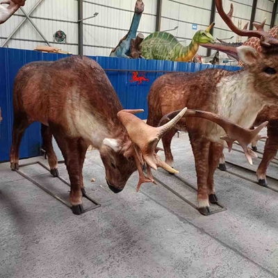 نام