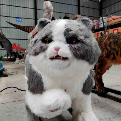 نام