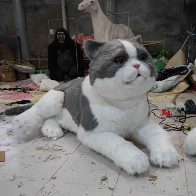 نام