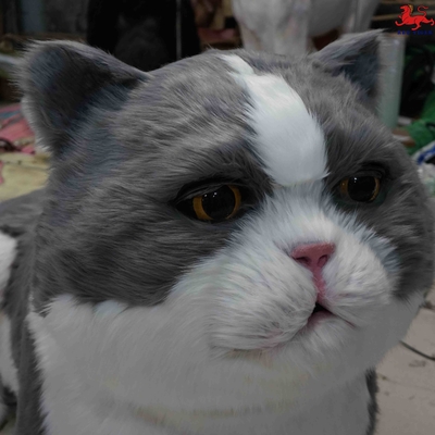 نام