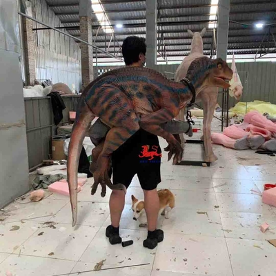 نام