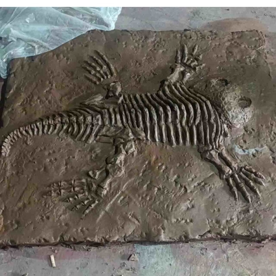 نام