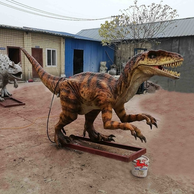 نام
