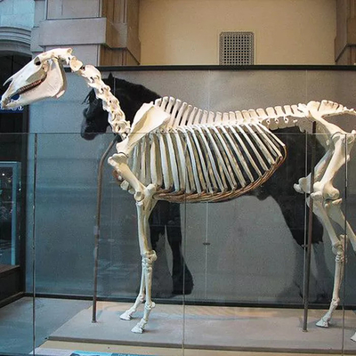نام