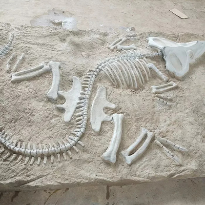 نام