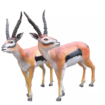 نام