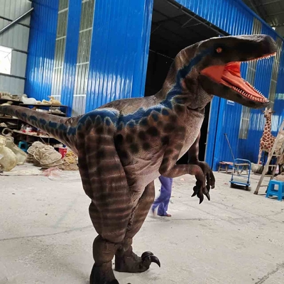 نام
