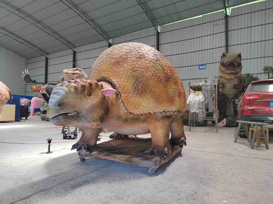 نام